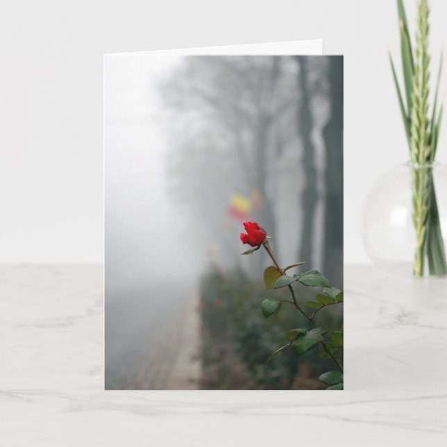 Sympathy Card Röd ros Kort (Framsida)