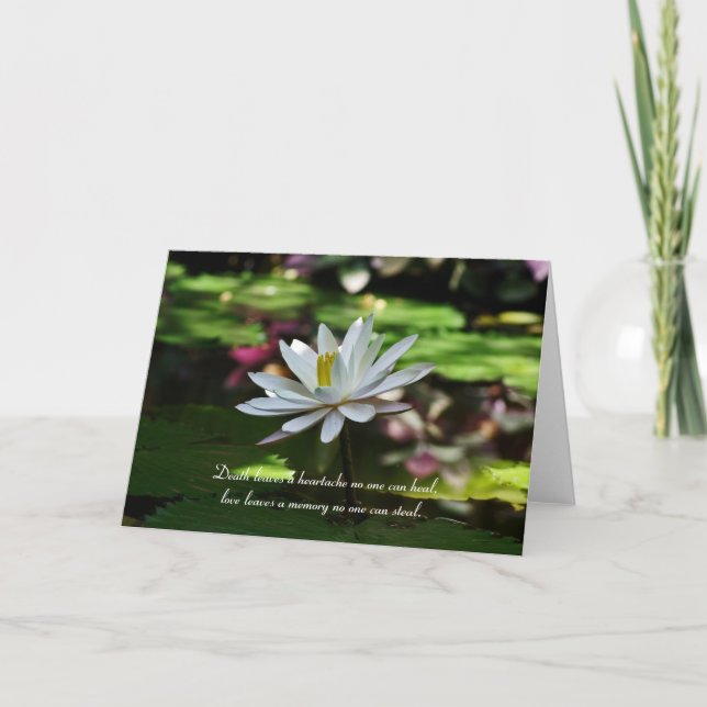 Sympathy Card - Vatten Lily Kort (Framsida)