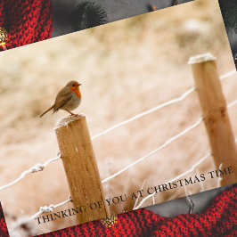 Sympathy Cards jul | Fredliga tankar Helgkort