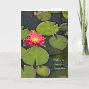Sympathy Dahlia i lily dynors Kort