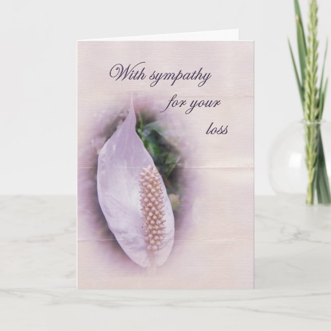 Sympathy Greeting Card - White Anthurium Kort (Framsida)