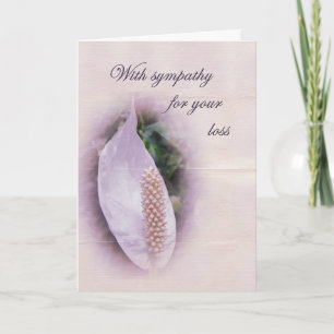 Sympathy Greeting Card - White Anthurium Kort