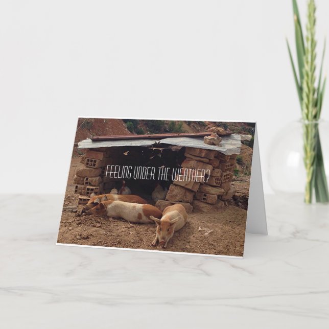 Sympathy Gris Greeting Card Kort (Framsida)