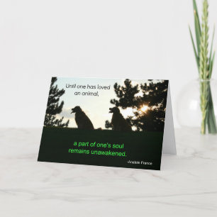 Sympathy-kort för gyllene återgivningskort kort