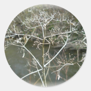 Sympathy Lacy Ogräs Sticker Runt Klistermärke