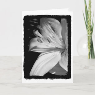 Sympathy Lily Card Kort