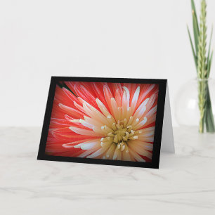 Sympathy Macro Photograph of Fuji Morsa Flower Kort
