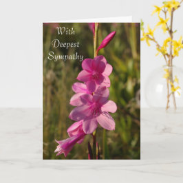 Sympathy Rosa Blommigt White Script Message Photo Kort