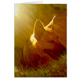 Sympathy Sunbeam German Shepherd Hund Dikt Card Hälsningskort