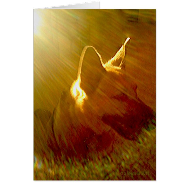 Sympathy Sunbeam German Shepherd Hund Dikt Card Hälsningskort (Framsidan)