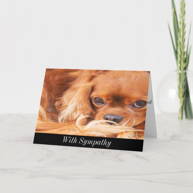 Sympathy Sweet Cavalier Kung Charles Spain Card Kort (Framsida)