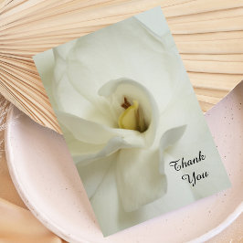 Sympathy Tack Flat Card - Gardenia