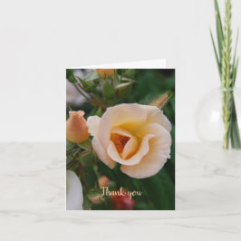 Sympathy Thank You from Family Tack Kort