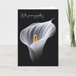 Sympathy White Calla Lily On Black Kort