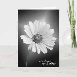 Sympathy White Cosmos på Black Kort