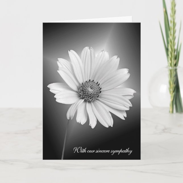 Sympathy White Daisy With Light Beams Kort (Framsida)