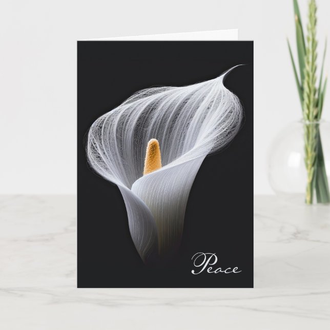 Sympathy White Peace Lily on Black Kort (Framsida)