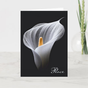 Sympathy White Peace Lily on Black Kort