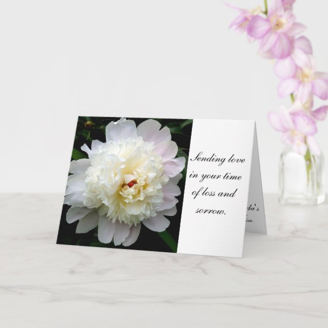 Sympathy White Peony Card Kort (Orkide)