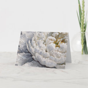 Sympathy White Peony Impasto Painting Kort