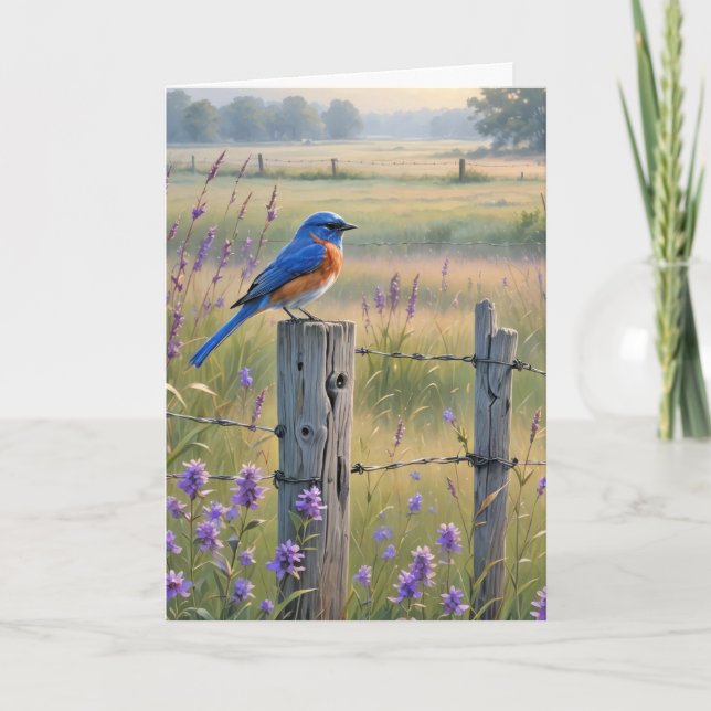 Sympati Bluebird på stängslet Kort (Framsida)
