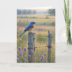Sympati Bluebird på stängslet Kort