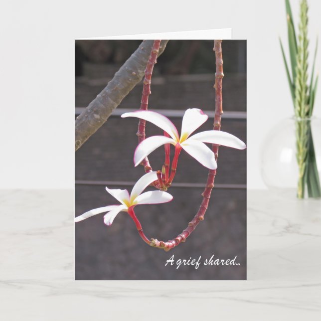 Sympati Card-Tropical Flowers Kort (Framsida)