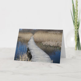 Sympati: Deras kärlek vävde in i andras liv. Kort