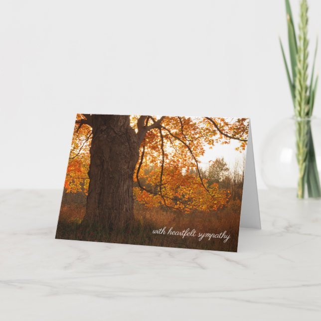 Sympati för Autumn Oak Träd Kort (Framsida)