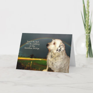 Sympati för förlust av hund för sällskapsdjur kort