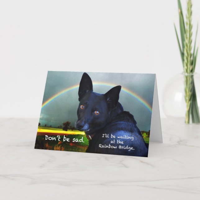 Sympati för förlust av sällskapsdjur kort (Framsida)