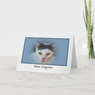 Sympati för förlust av sällskapsdjur med katt kort