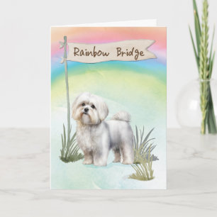 Sympati för malteser hund över Rainbow Bridge Kort
