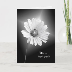 sympati för vit kosmos blomma kort