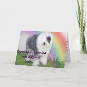 Sympati - förlust av ett husdjur kort