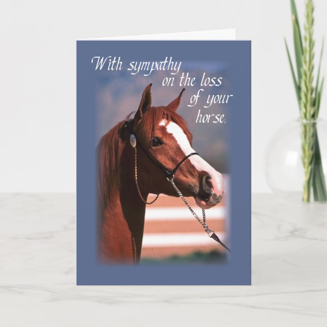 Sympati Förlust av häst, blå Kort (Framsida)