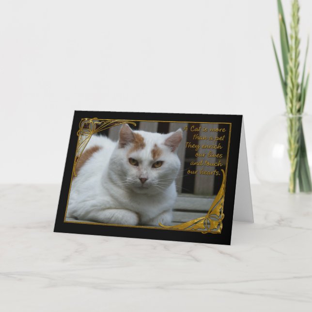 Sympati förlust av kattkort kort (Framsida)
