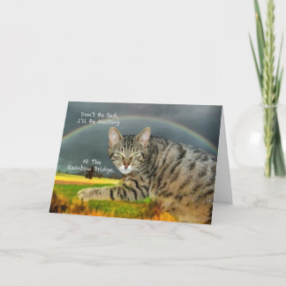 Sympati - Förlust av Pet Tabby katt Kort