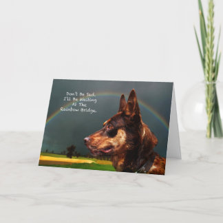 Sympati - Förlust av sällskapsdjur Hund Kort