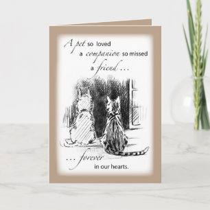 Sympati hos sällskapsdjur, Hund och katt Kort