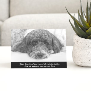 Sympati Labradoodle Greeting Card Kort