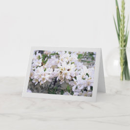 Sympati-mappat gratulationskort kort