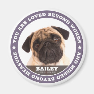 Sympati Modern enkel Anpassningsbar Pet Photo Keep Magnet