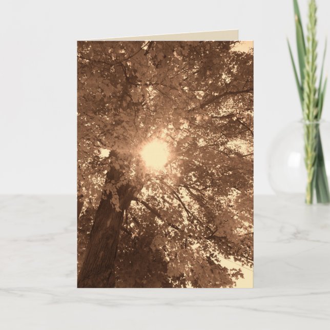 Sympati och hopp kort (Framsida)