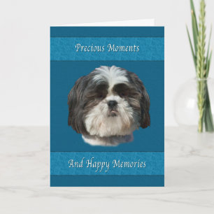 Sympati på förlust av sällskapsdjur, Shih Tzu Hund Kort