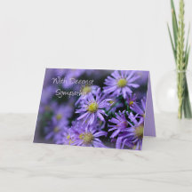 Sympati på mjuk Lila Aster Flowers