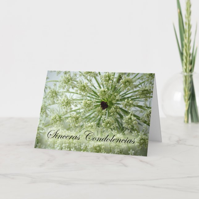 Sympati på spanska, drottning Anne's Snöre, Flower Kort (Framsida)