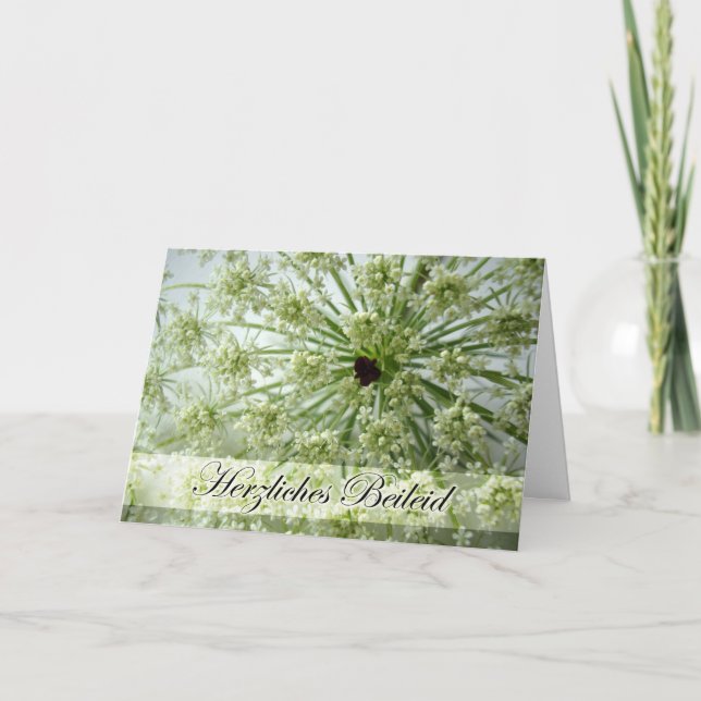 Sympati på tyska, drottning Anne's Snöre, blommor Kort (Framsida)
