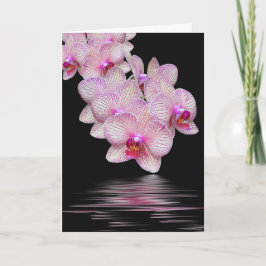 Sympati Rosa Orchids Black Reflection Kort