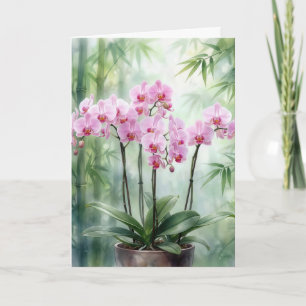 Sympati Rosa Orkidéer På Grön Bambu Kort